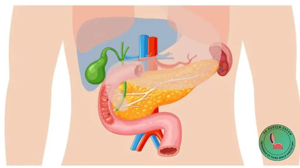 افضل دكتور منظار القنوات المرارية في مصر